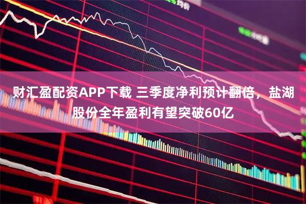 财汇盈配资APP下载 三季度净利预计翻倍，盐湖股份全年盈利有望突破60亿
