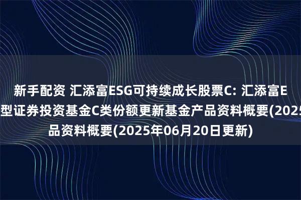 新手配资 汇添富ESG可持续成长股票C: 汇添富ESG可持续成长股票型证券投资基金C类份额更新基金产品资料概要(2025年06月20日更新)