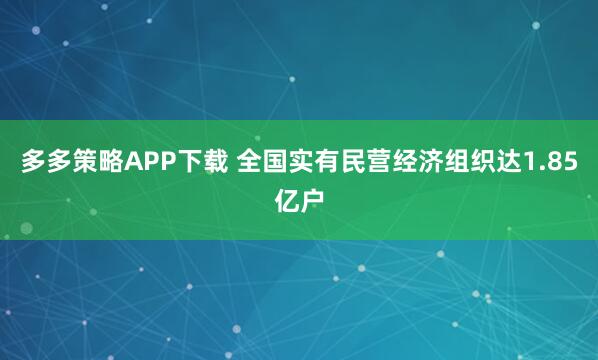 多多策略APP下载 全国实有民营经济组织达1.85亿户