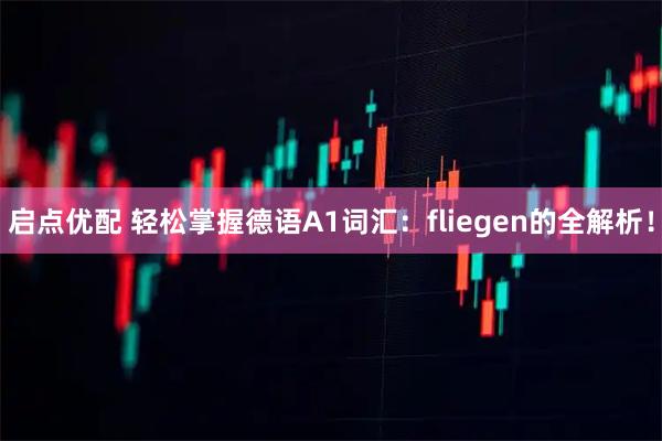 启点优配 轻松掌握德语A1词汇：fliegen的全解析！