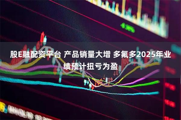 股E融配资平台 产品销量大增 多氟多2025年业绩预计扭亏为盈