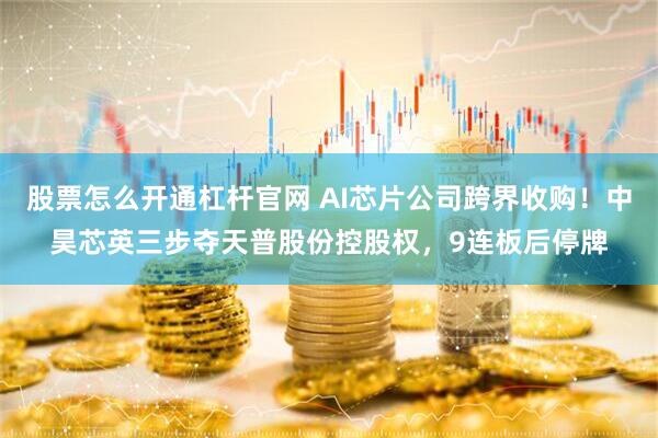 股票怎么开通杠杆官网 AI芯片公司跨界收购！中昊芯英三步夺天普股份控股权，9连板后停牌